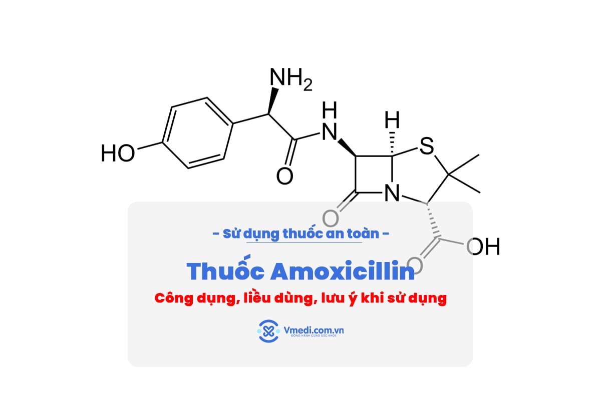 amoxicillin-la-thuoc-gi