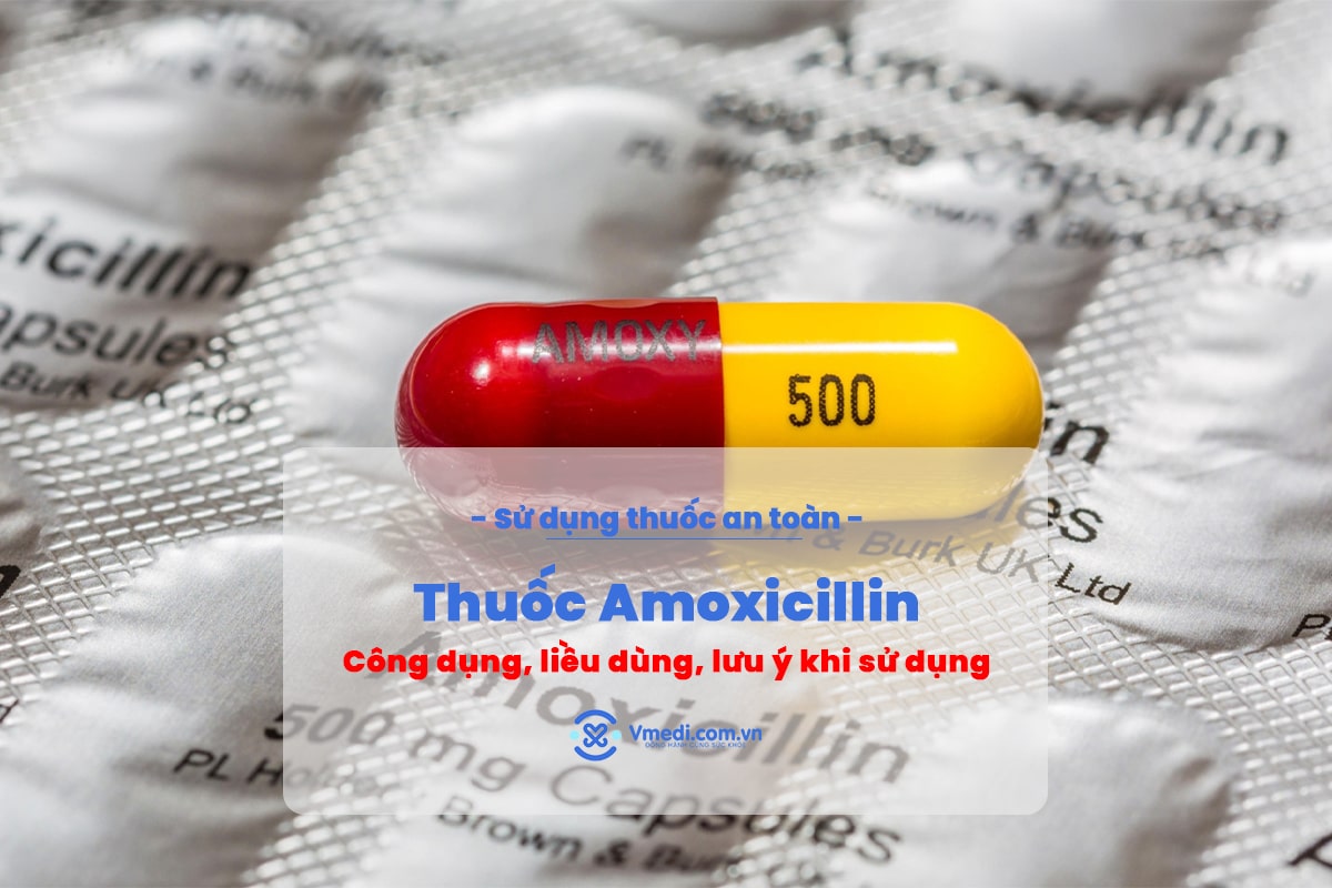 Cong-dung-thuoc-amoxicillin