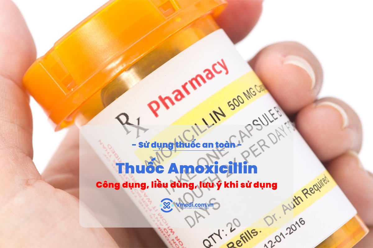 chong-chi-dinh-thuoc-amoxicillin